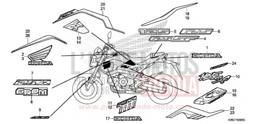 MARQUE/RAYURE MSX125G de 2016